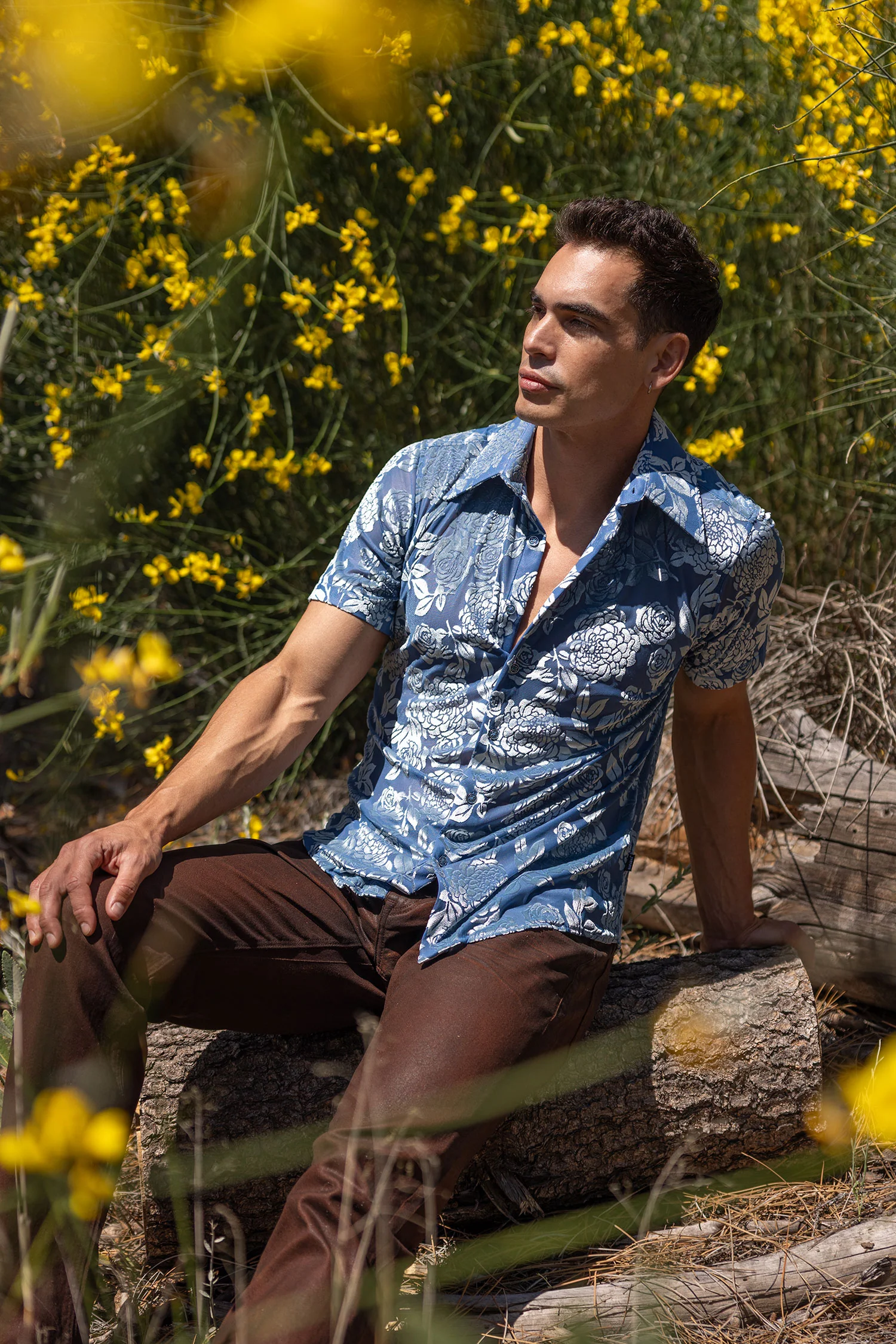 Ethereal Sheer Short Sleeve Shirt - Image 3